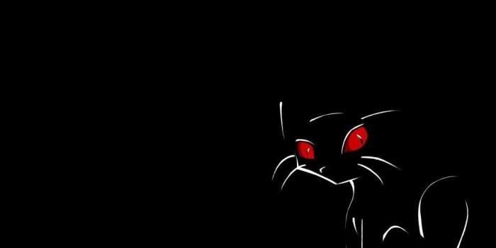 1024x768 65+ Cute Halloween Cats Wallpapers - Download at WallpaperBro