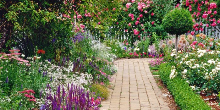 1920x1080 Garden Pictures For Backgrounds