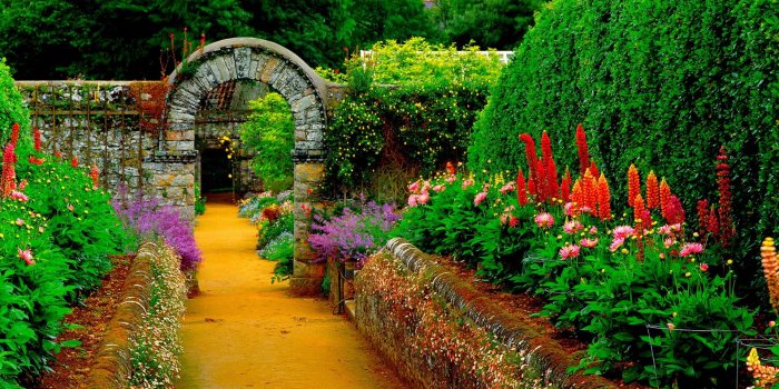 1920x1080 42+] 1920X1080 HD Garden Wallpaper on WallpaperSafari