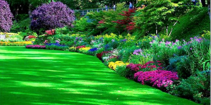 1600x900 Garden Images Hd Free Download Garden Park HD Pretty | House