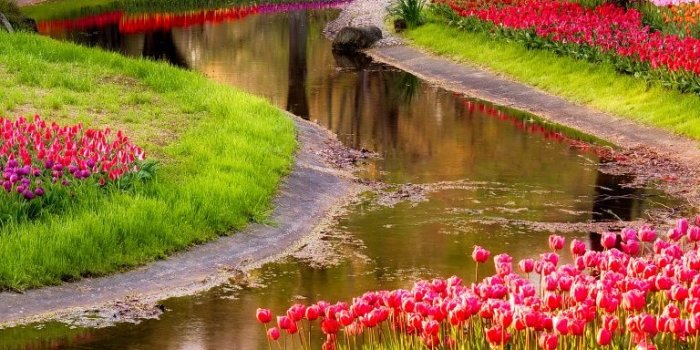 768x1280 Beautiful Spring Garden ❤ 4K HD Desktop Wallpaper for 4K Ultra HD