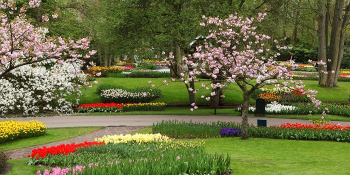 1280x853 flower-garden-hd-free-wallpapers-download - HD Wallpaper