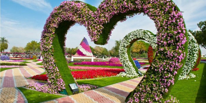 1150x770 Heart Garden hd #wallpaper - HD Wallpapers