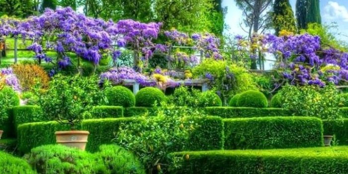720x1280 HD Beautiful Garden Wallpapers for Android - APK Download