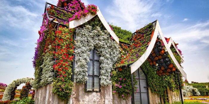 1488x1019 Miracle Garden in Dubai HD Wallpaper