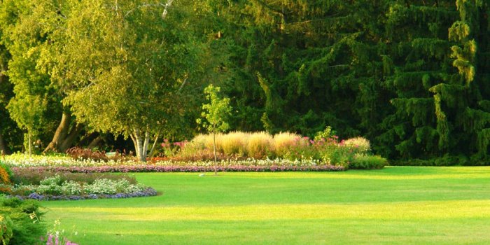 1024x768 Garden HD Wallpaper Download, Anglea Glueck – gratis here