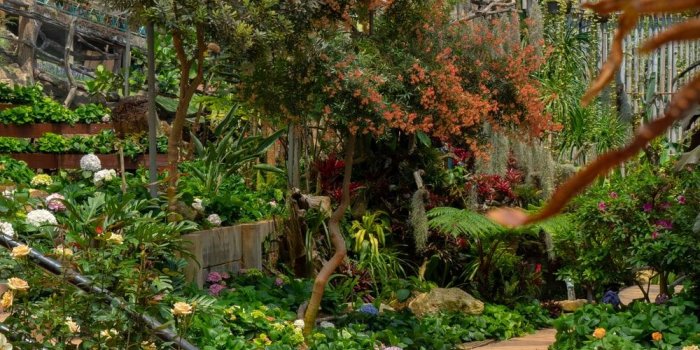 1000x1333 Best 100+ Garden Pictures & Images [HD] | Download Free Photos on