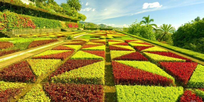 1920x1080 Garden Wallpapers (74+ background pictures)