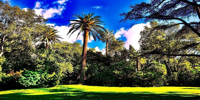 1920x1080 Garden Hd Wallpaper Download - (37++ Image Collections)