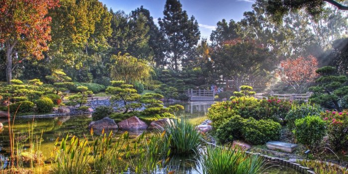 1920x1080 Download wallpaper 1920x1080 garden, pond, vegetation, light, colors