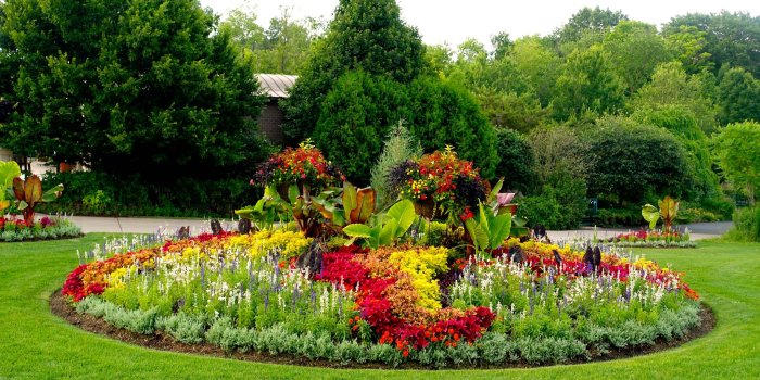 5389x3369 Beautiful Colorful Gardens HD Wallpapers - WonderWordz