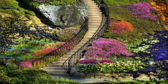 1024x768 Full Hd Flower Garden Pic - Flowers Healthy