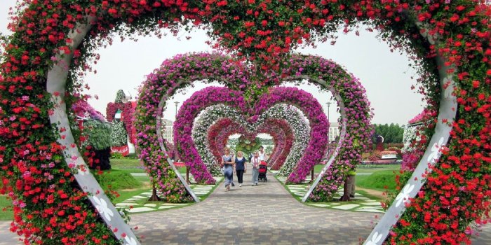 1920x1080 Garden hd wallpaper Gallery