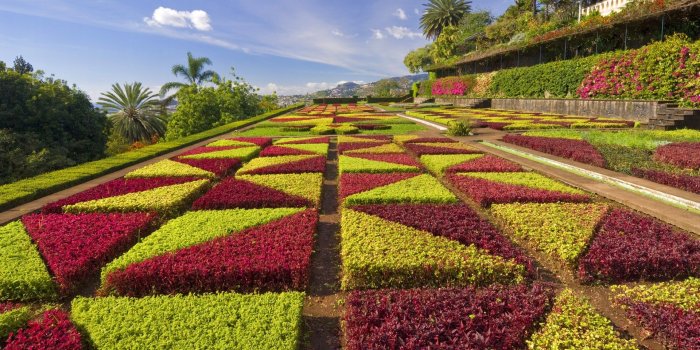 1920x1080 Flower Garden Wallpapers (52+) Desktop Backgrounds