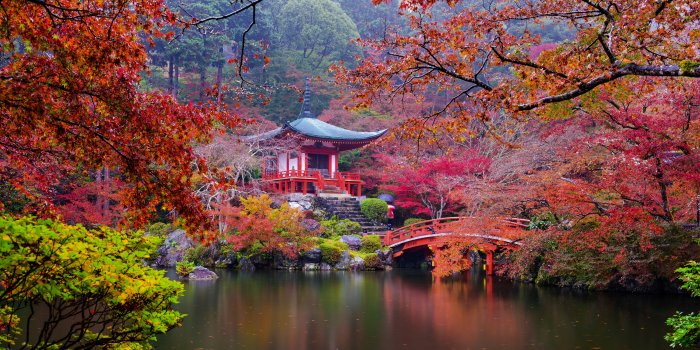 5600x3734 Japanese Garden Hd Wallpaper (29+ images) on Genchi.info