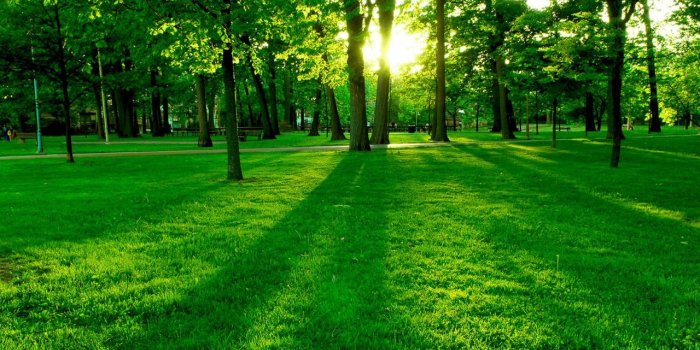 1280x800 Garden HD Wallpapers Backgrounds Wallpaper 1280x800