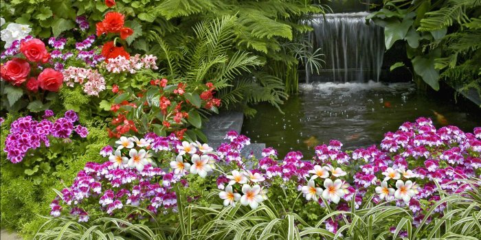 1920x1080 Flower Garden HD Desktop Background Wallpaper | WallpaperLepi