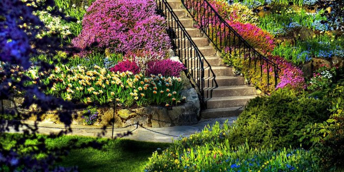 1920x1080 Beautiful garden Hd wallpaper [1920x1080] - Imgur