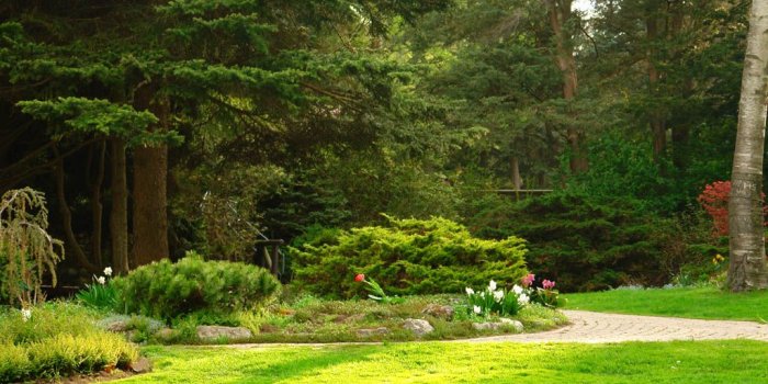 1024x768 Garden HD Wallpaper, Background Images