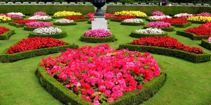 1216x973 Love hart garden hd wallpapers free download | Wallpapers and