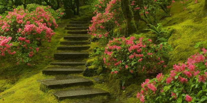 1600x1200 Wallpaper's Collection: «Garden Wallpapers»