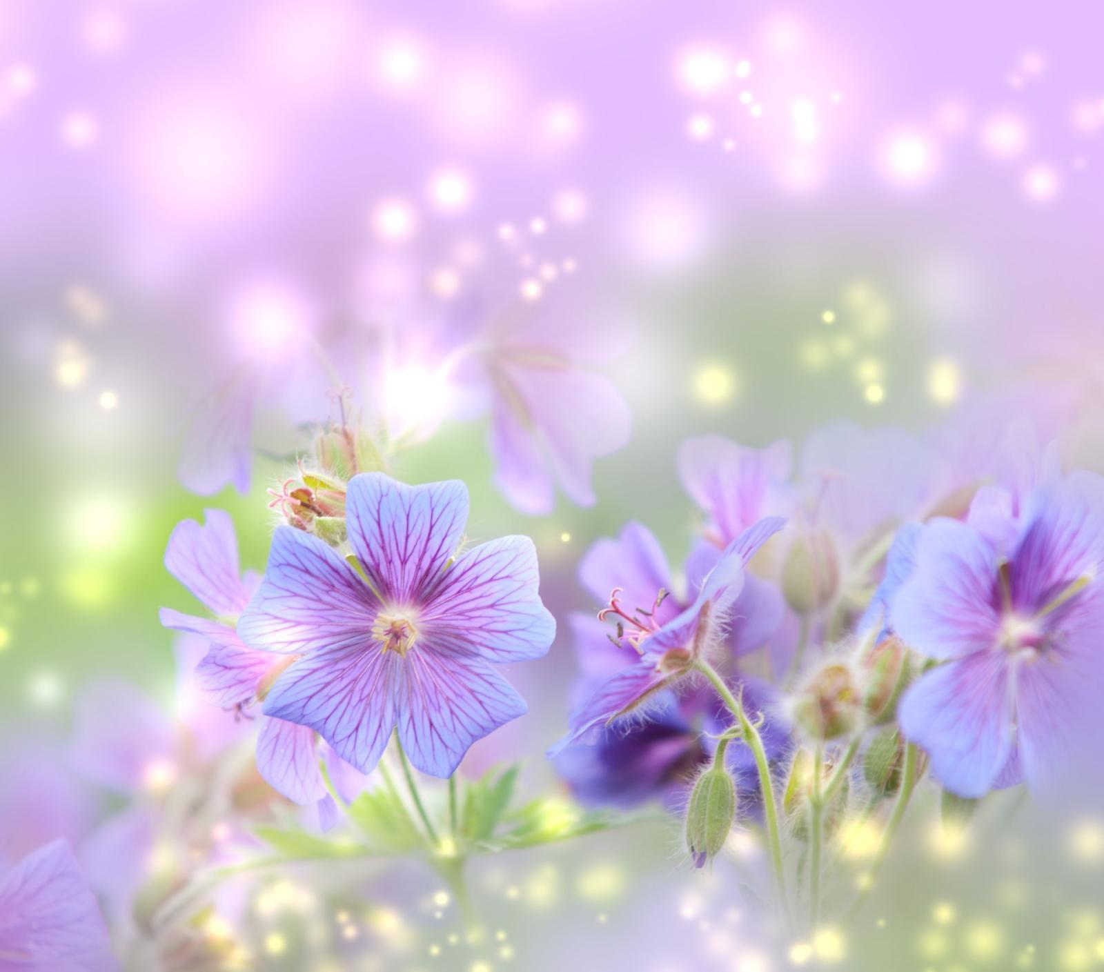 1920x1691 Free Spring Desktop Wallpaper | Spring 8, Free Wallpapers, Free