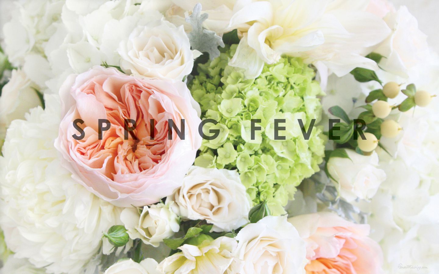 1440x900 Desktop wallpaper: Spring fever | House Mix