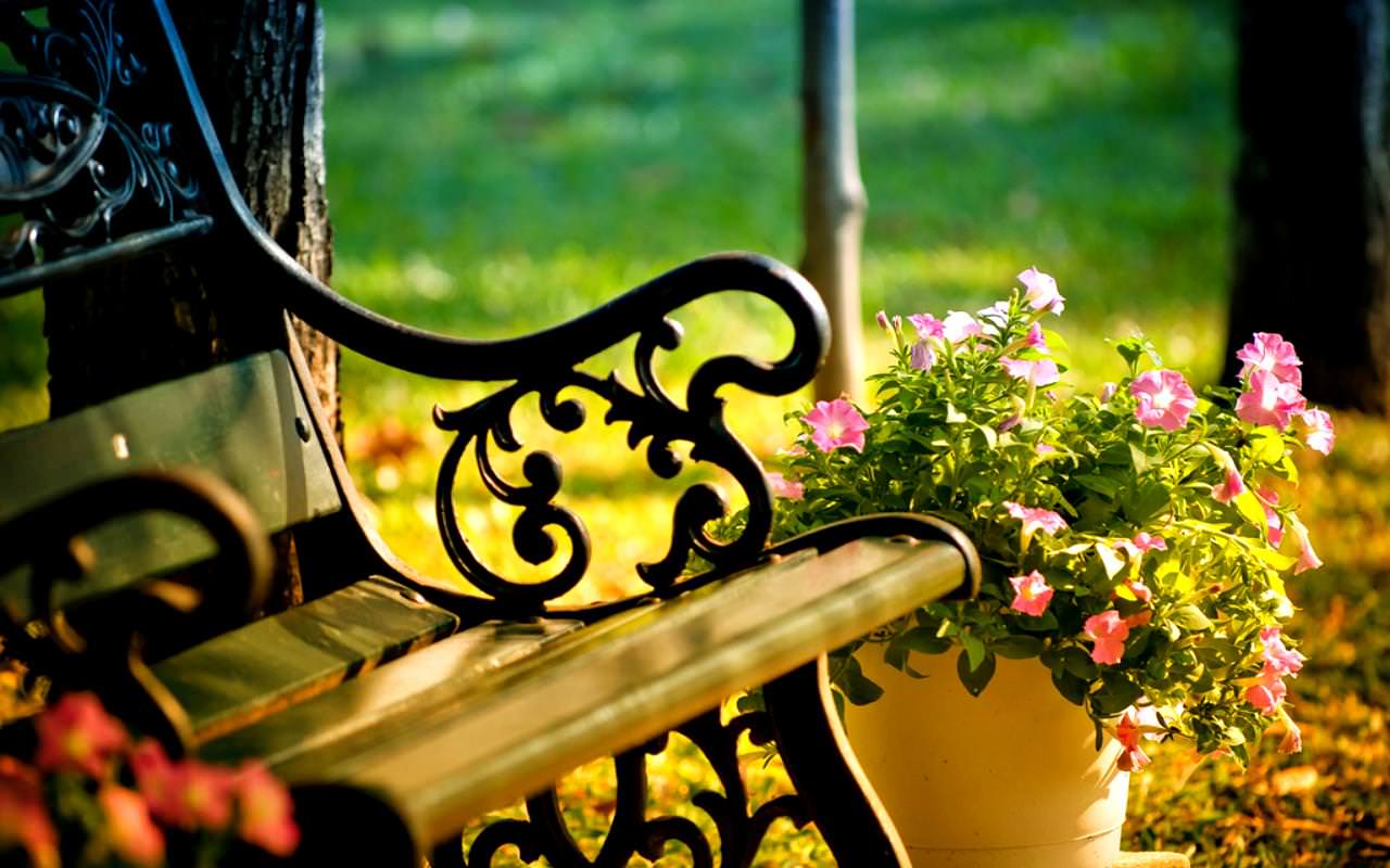 1280x800 Spring wallpapers backgrounds images freecreatives - Free HD Wallpapers