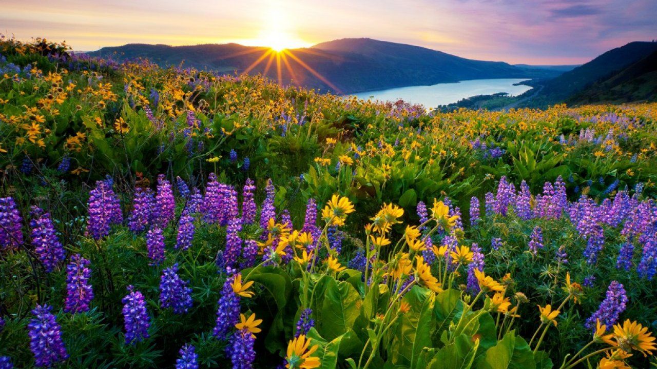 1280x720 Sunrise In Spring Desktop Wallpapers HD HD Wallpapers Amazing Cool