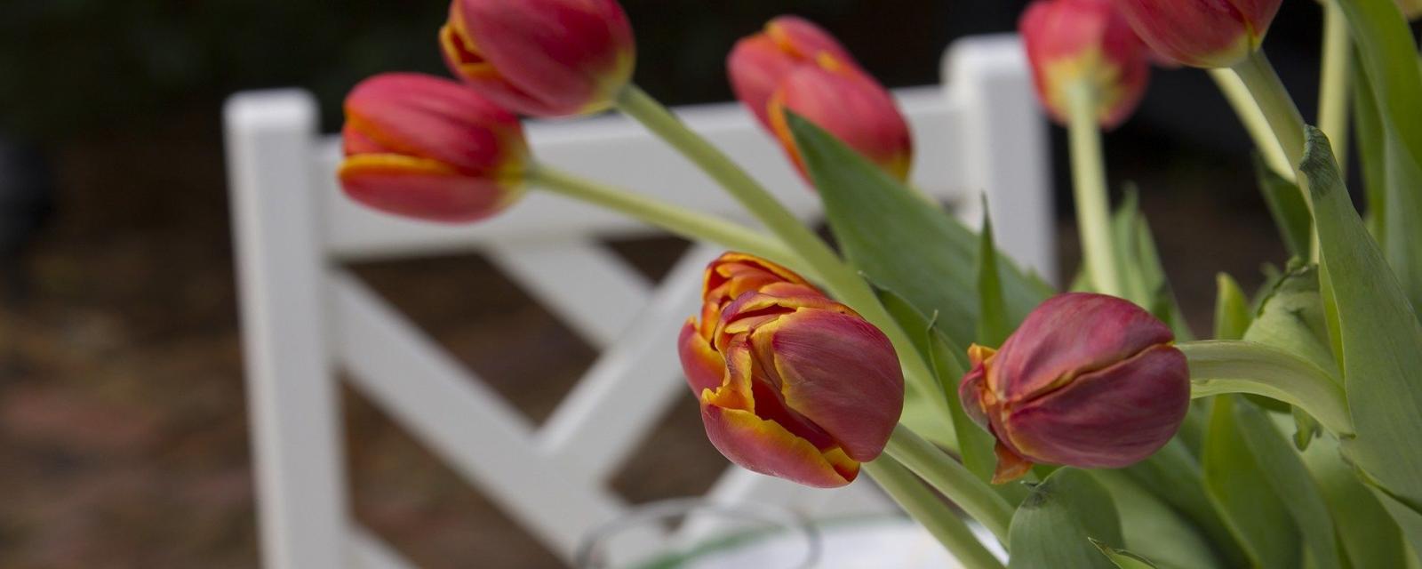 1918x768 Ready for Spring Desktop Wallpapers | POLYWOOD Blog