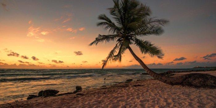 1920x1278 Best 48+ Mexico Beach Background on HipWallpaper | Epcot Mexico