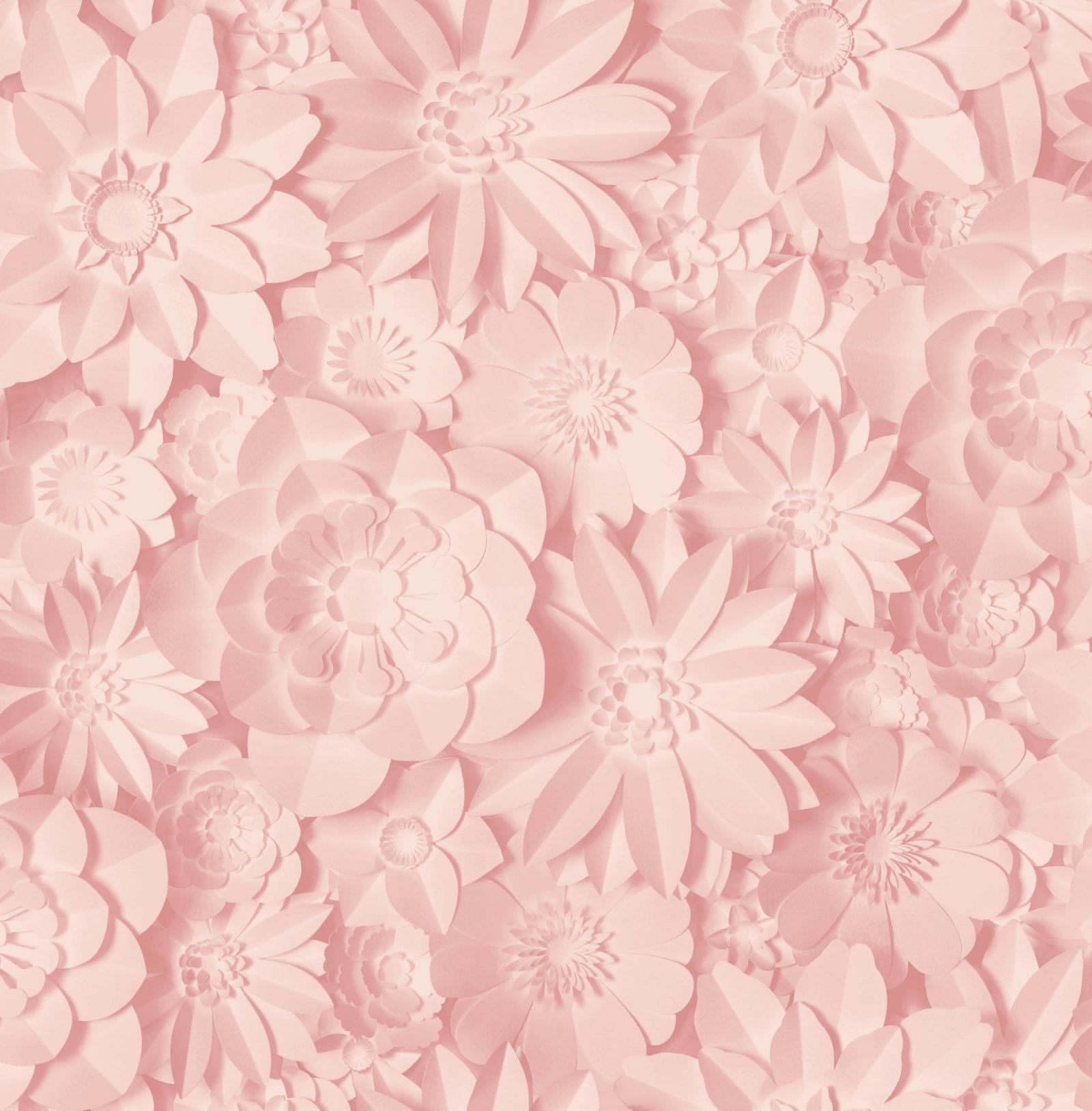 2000x2036 Dimensions Floral Blush Pink