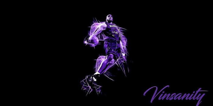 1191x670 Vince Carter Wallpapers (30+ images) on Genchi.info