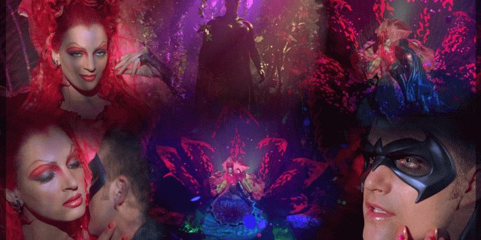 1920x1080 Poison Ivy Images Ivywallpaper Hd Wallpaper And Background - Masque