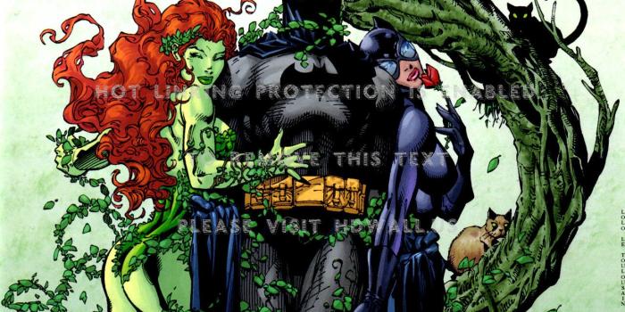 1280x903 batman catwoman poison ivy