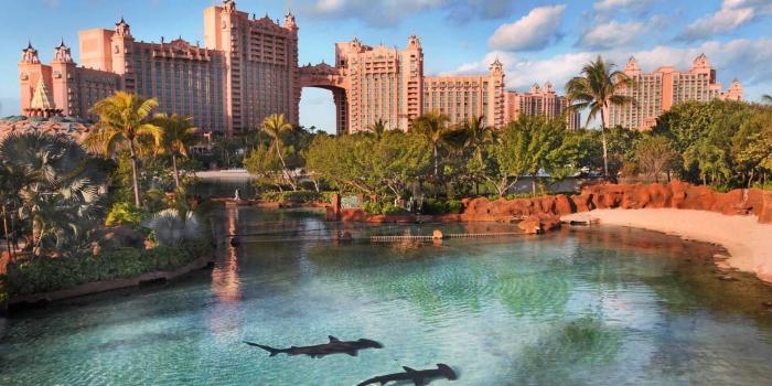 1920x1080 40+ Atlantis Paradise Wallpapers - Download at WallpaperBro