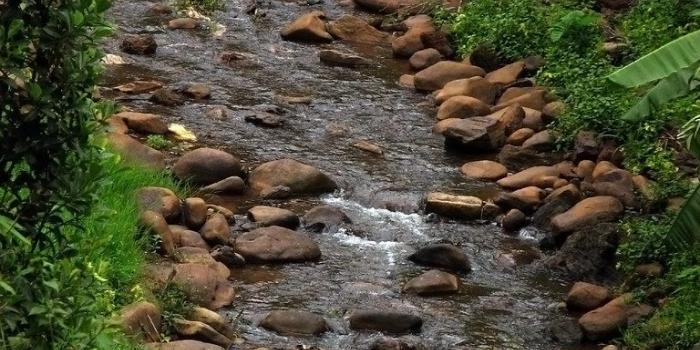 768x1024 The World's most recently posted photos of nirvana and wallpaper