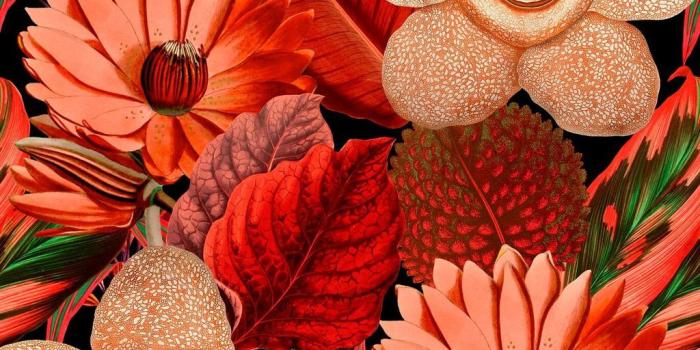 1024x1024 Wallpaper – April & The Bear