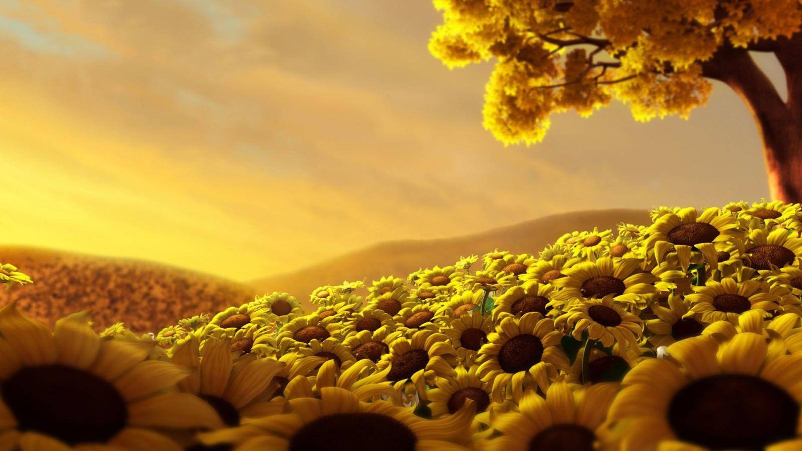 1920x1080 453 Sunflower HD Wallpapers | Background Images