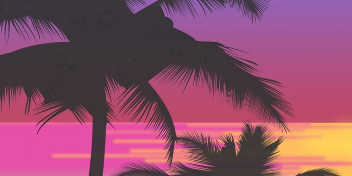 1080x1920 Palm tree Wallpaper for iPhone X, 8, 7, 6 - Free Download on 3Wallpapers
