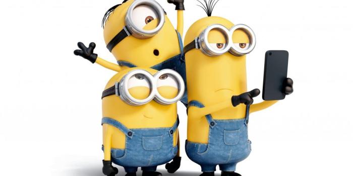 1130x706 Three crazy minions make a selfie - Funny cartoon characters
