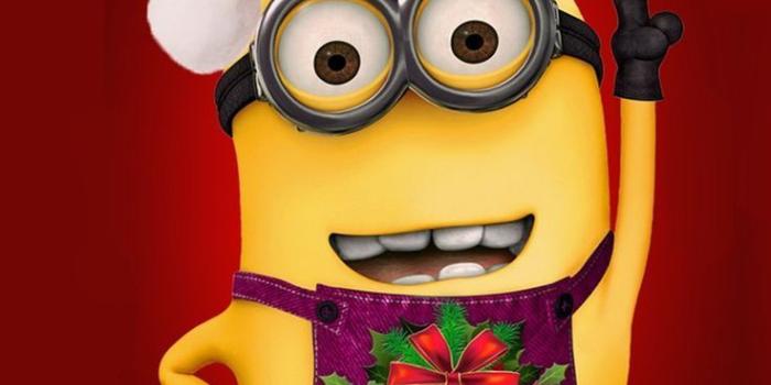 736x1309 Iphone Wallpaper Ideas : Despicable Me minion with Christmas hat