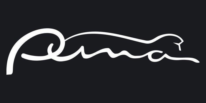 1024x768 Puma Logo Wallpapers