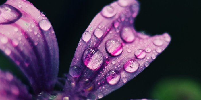 2000x1333 Rainy Spring Desktop Wallpaper (56+ images)