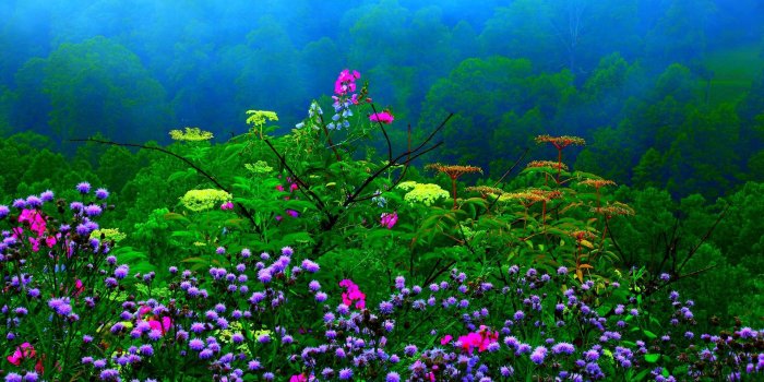 1920x1200 65+ Rainy Spring Desktop Wallpapers - Download at WallpaperBro