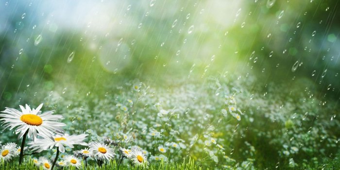 2560x1440 76+ Rainy Desktop Wallpapers on WallpaperPlay