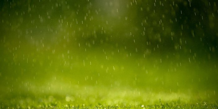 1920x1200 Nature Rain Wallpapers