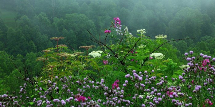 2560x1600 Rain HD Desktop Wallpapers - Top Free Rain HD Desktop Backgrounds