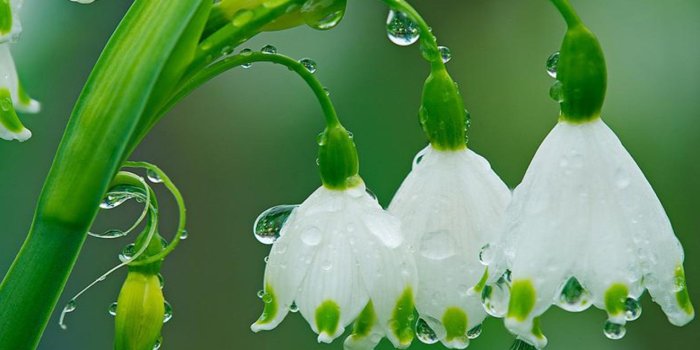 2560x1600 76+ Rainy Desktop Wallpapers on WallpaperPlay