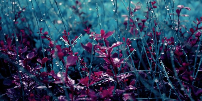 1024x768 Spring Rain Desktop Wallpaper | Wallpaper, Wallpaper Hd, Background